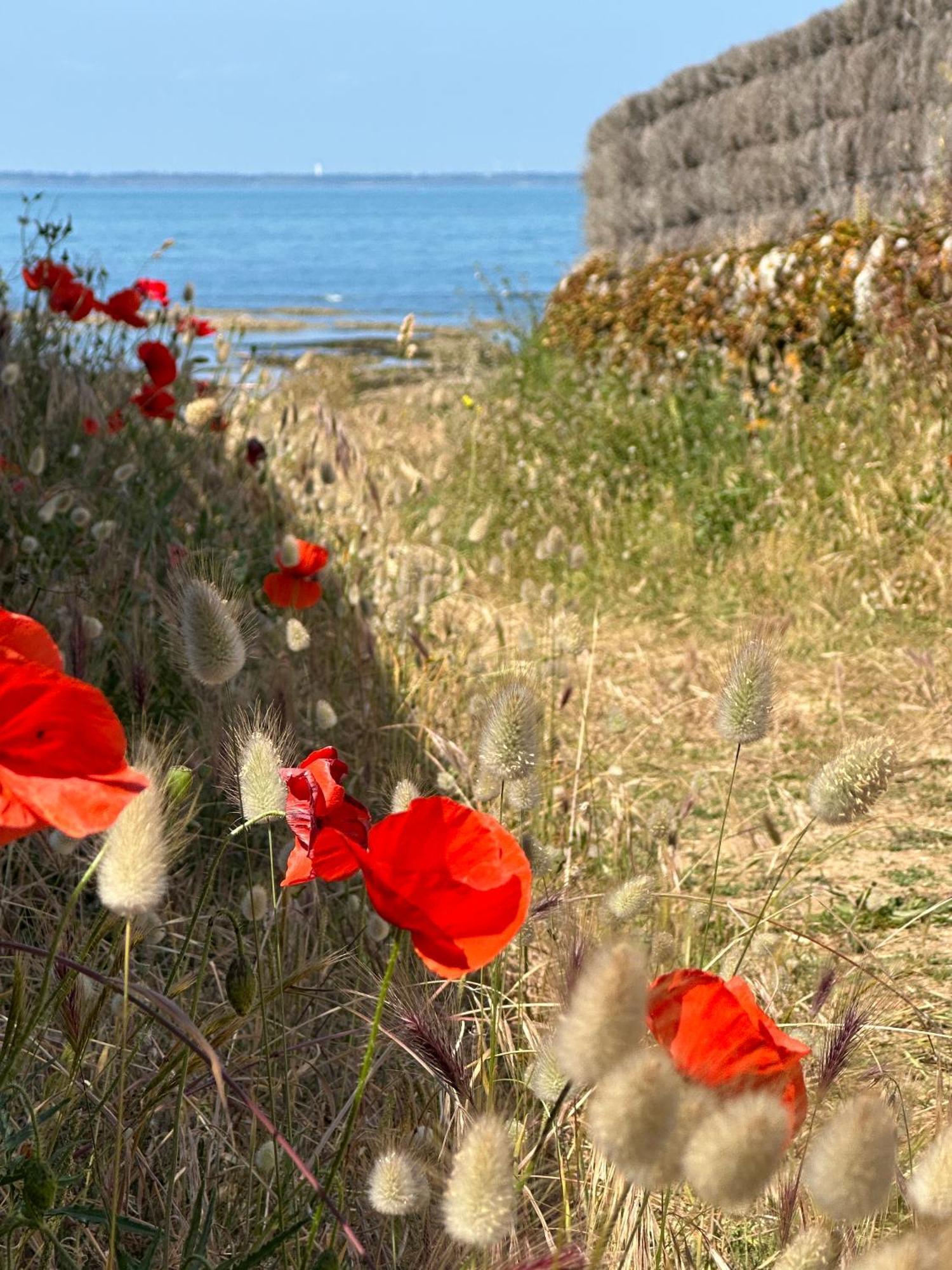 Villa "Mignon" Avec Studio Independant, Tout A Pied, Plage A 4 Mn, 6 Pers, 2 Sde Saint-Jean-de-Monts Exterior foto